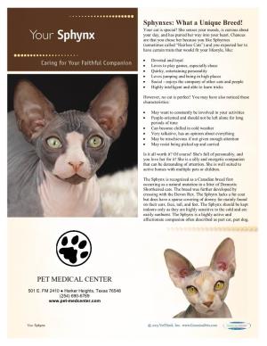 Sphynxes: What a Unique Breed! PET MEDICAL CENTER
