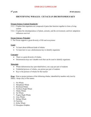 Oimb Gk12 Curriculum Identifying Whales: Cetacean Dichotomous