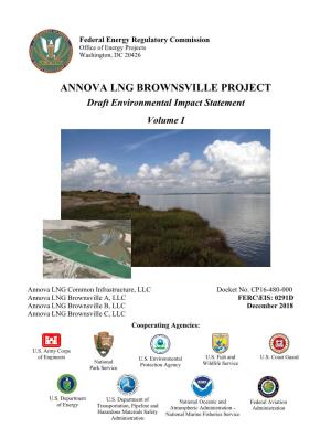 Annova LNG Brownsville Project DEIS Volume I