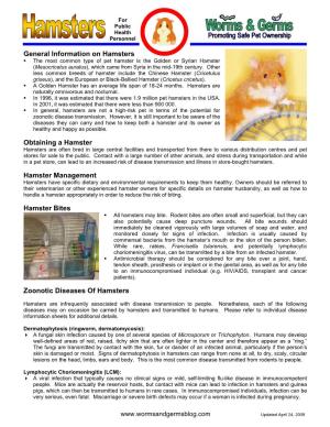 General Information on Hamsters
