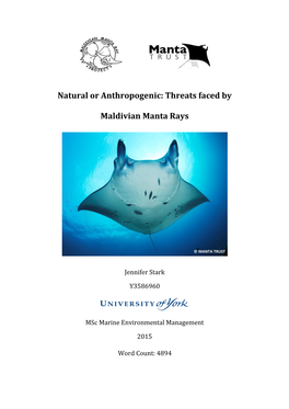 Threats Faced by Maldivian Manta Rays