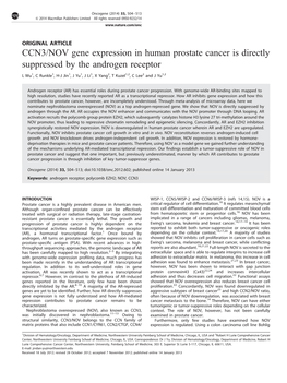 NOV Gene Expression in Human Prostate Cancer Is Directly Suppressed by the Androgen Receptor