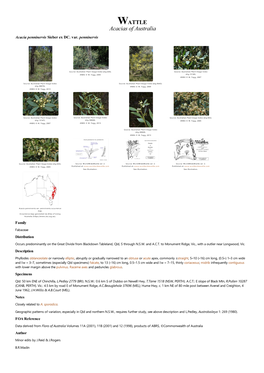 Acacia Penninervis Var. Penninervis Occurrence Map