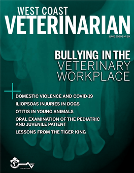 Bullying in the Veterinary Workplace