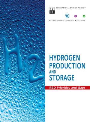 Hydrogen Production and Storage