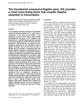 The Caulobacter Crescentus Flagellar Gene, Flix, Encodes a Novel Trans-Acting Factor That Couples Flagellar Assembly to Transcription