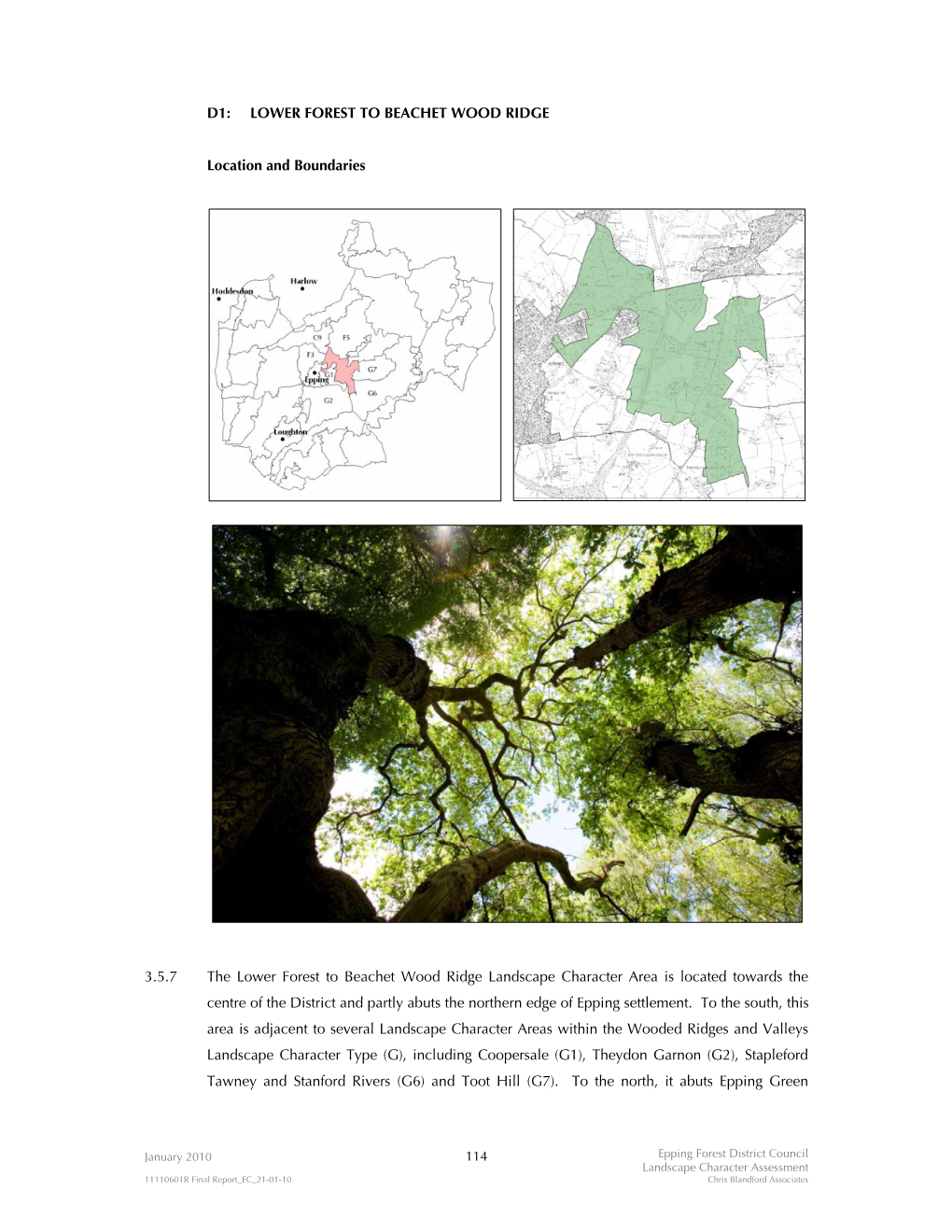 D1: Lower Forest to Beachet Wood Ridge