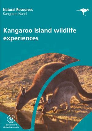 Kangaroo Island Wildlife Experiences Finding Wildlife in the Wild Glossy Black-Cockatoo Watching Wildlife Where to Find Them Watching Wildlife Can Be Breath-Taking