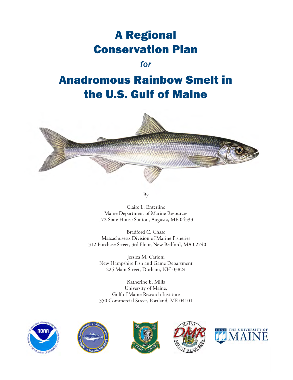 Anadromous Rainbow Smelt in the US Gulf of Maine