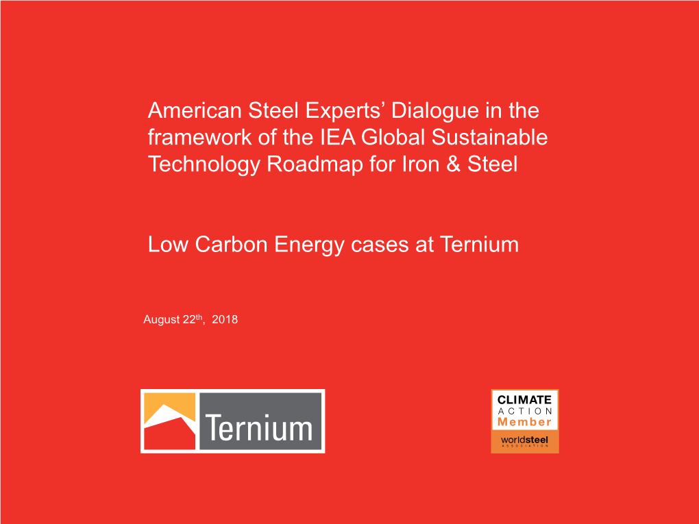American Steel Experts' Dialogue in the Framework of the IEA Global