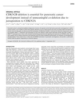 CDKN2B Deletion Is Essential for Pancreatic Cancer Development Instead of Unmeaningful Co-Deletion Due to Juxtaposition to CDKN2A