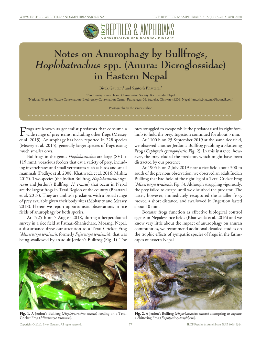 Cfreptiles & Amphibians