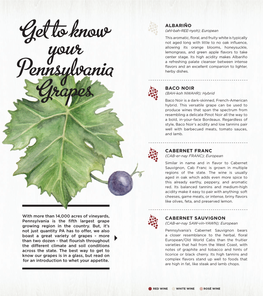 PA Wines Grape Guide