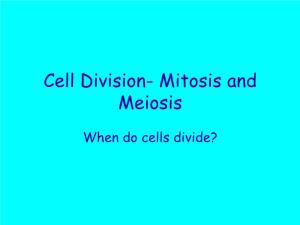 Cell Division- Ch 5