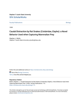 Caudal Distraction by Rat Snakes (Colubridae, Elaphe): a Novel Behavior Used When Capturing Mammalian Prey