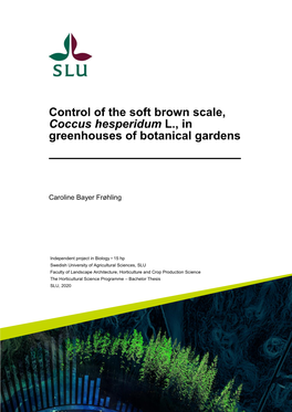 Control of the Soft Brown Scale, Coccus Hesperidum L., in Greenhouses of Botanical Gardens