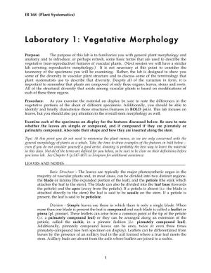 Laboratory 1: Vegetative Morphology