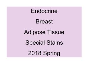Endocrine Breast Adipose Tissue Special Stains 2018 Spring !!!ENDOCRINE SYSTEM!