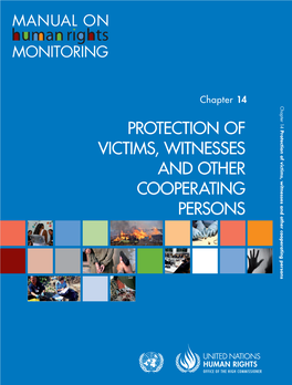 What Is the Primary Responsibility for Protecting Victims Witnesses?