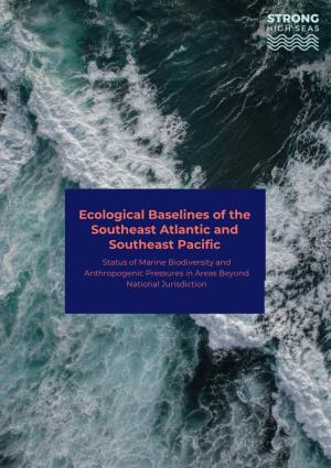 Ecological Baselines of the Southeast Atlantic and Southeast Pacific Status of Marine Biodiversity and Anthropogenic Pressures in Areas Beyond National Jurisdiction