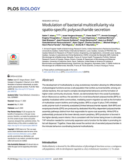 Modulation of Bacterial Multicellularity Via Spatio-Specific Polysaccharide Secretion
