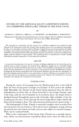 Studies on the Barnacle Balanus Amphitrite Darwin, 1854 (Cirripedia) from Lake Timsah in the Suez Canal