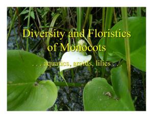 Diversity and Floristics of Monocots!