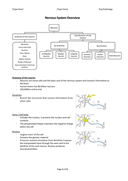 Nervous System Overview