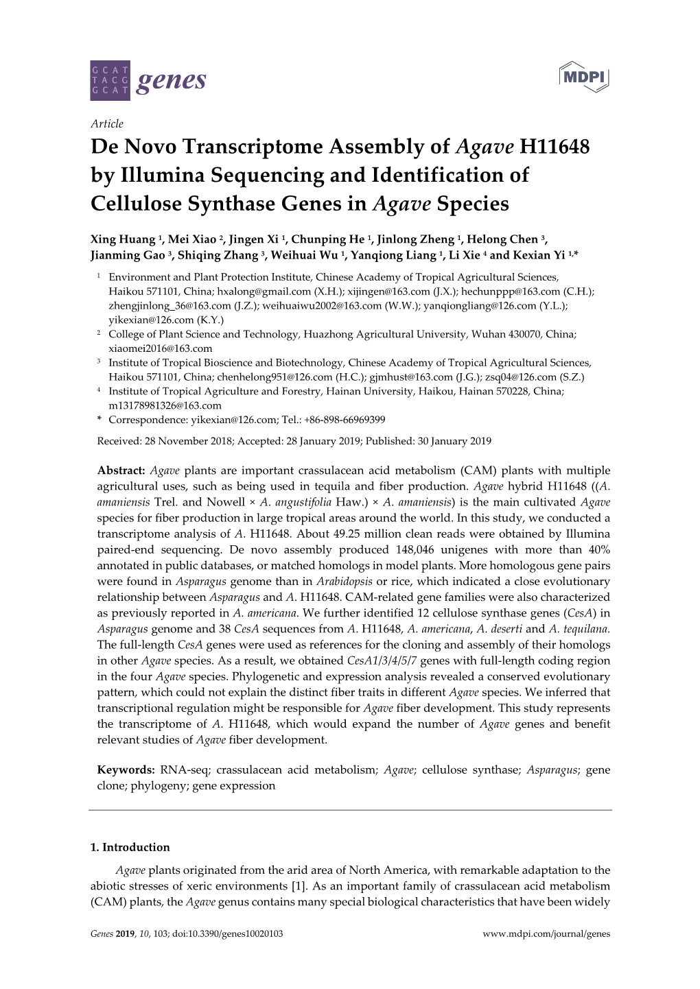 De Novo Transcriptome Assembly of Agave H11648 by Illumina Sequencing and Identification of Cellulose Synthase Genes in Agave Species