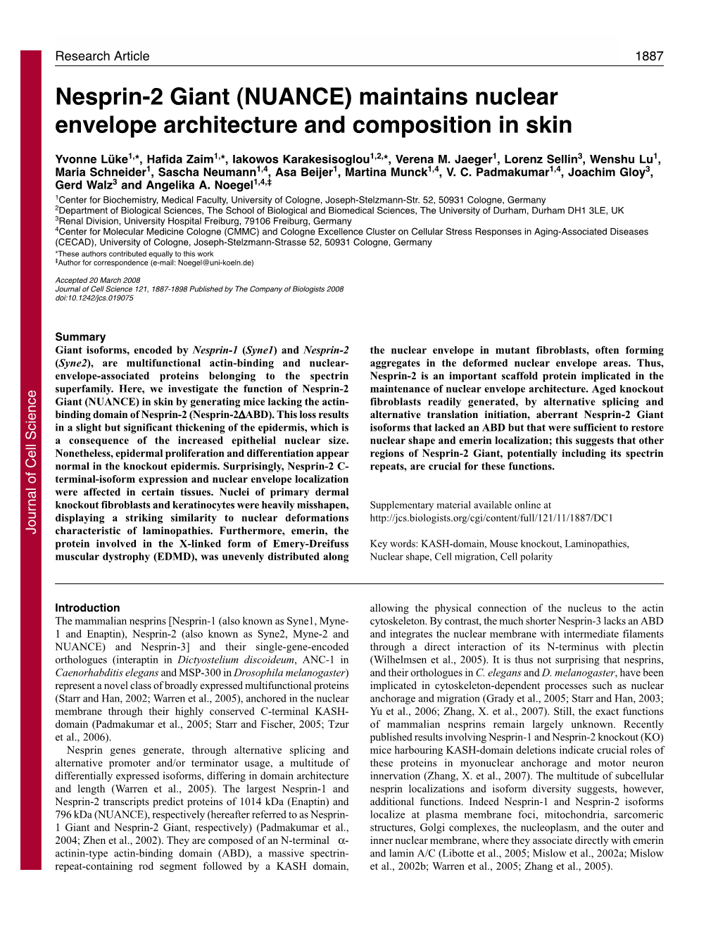 Maintains Nuclear Envelope Architecture and Composition in Skin