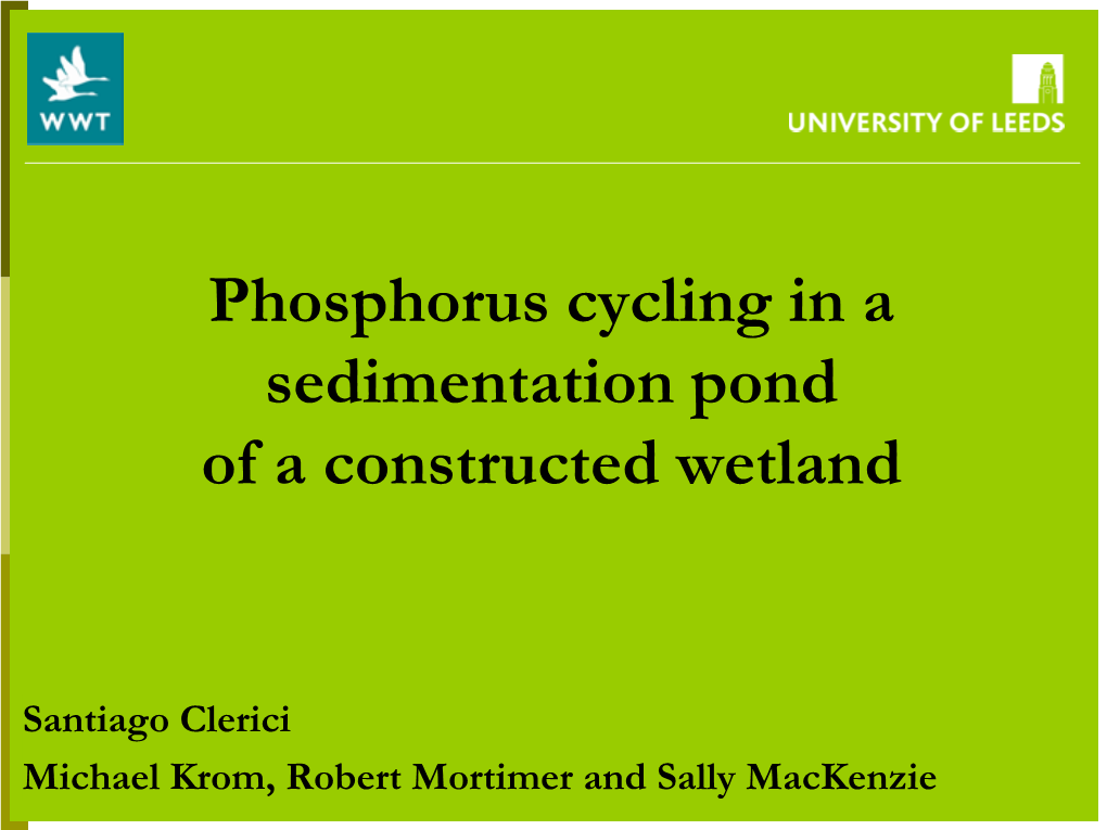 Phosphorus Cycling in a Sedimentation Pond of a Constructed Wetland