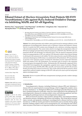 Ethanol Extract of Maclura Tricuspidata Fruit Protects SH-SY5Y Neuroblastoma Cells Against H2O2-Induced Oxidative Damage Via Inhibiting MAPK and NF-Κb Signaling