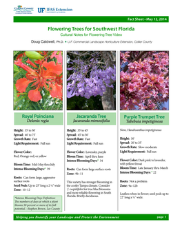 Flowering Trees for South Florida