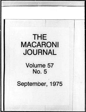 Macaroni Journal