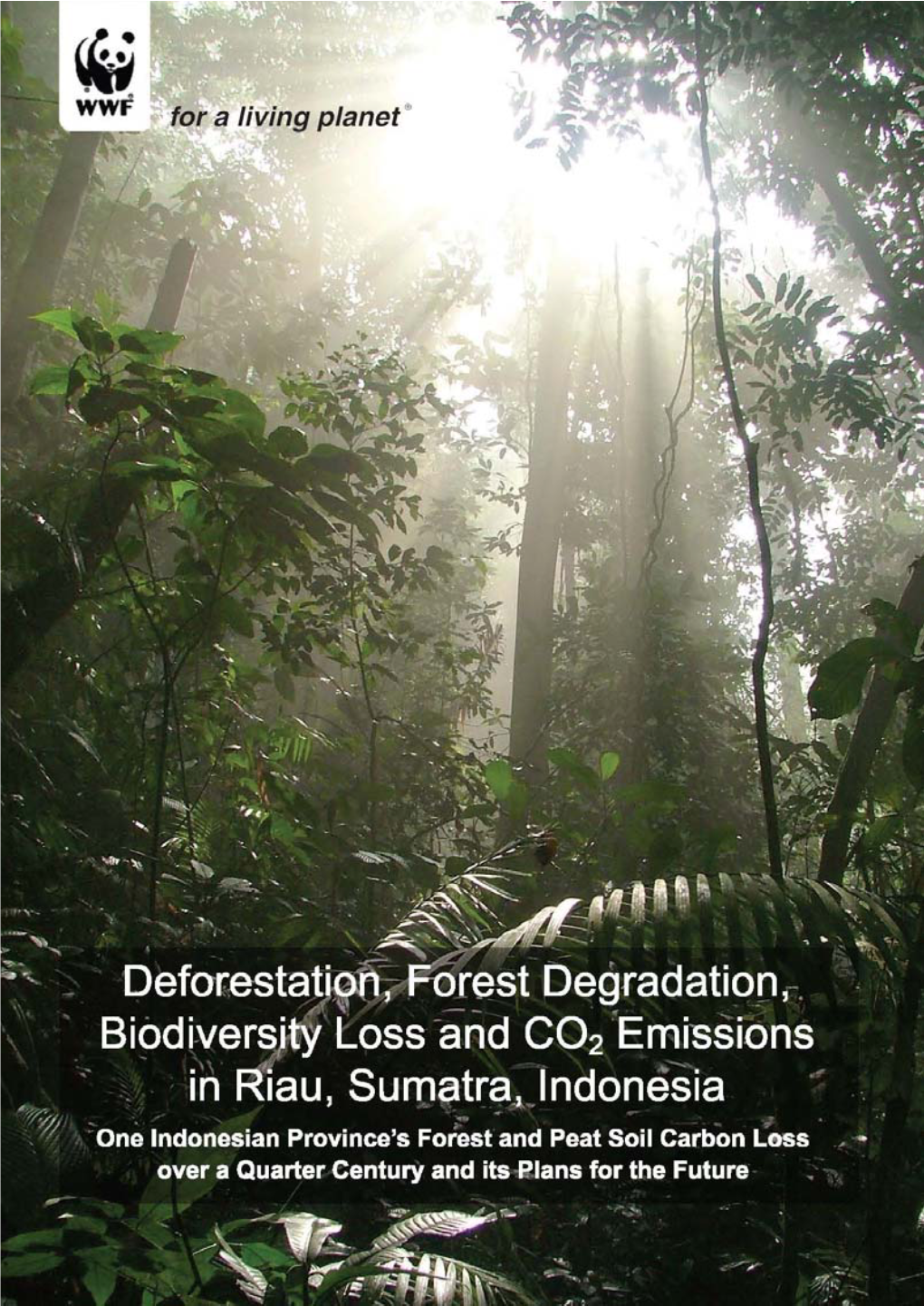Deforestation, Forest Degradation, Biodiversity Loss and CO2 Emissions in Riau, Sumatra, Indonesia
