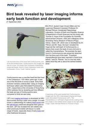 Bird Beak Revealed by Laser Imaging Informs Early Beak Function and Development 21 September 2020