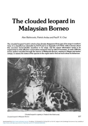 The Clouded Leopard in Malaysian Borneo