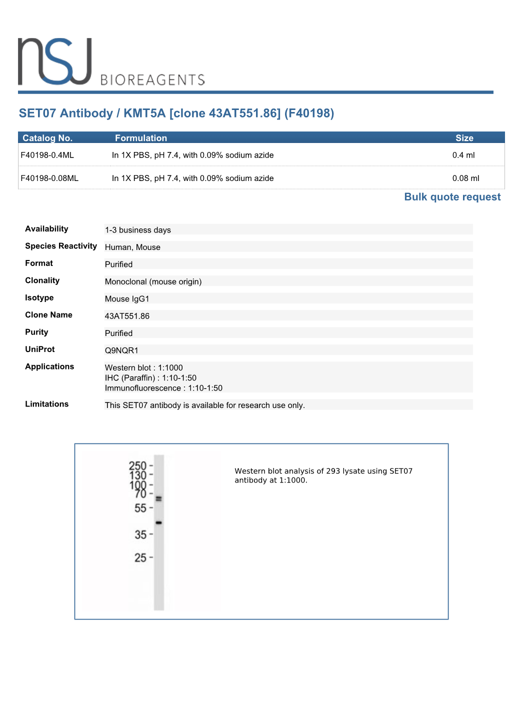 SET07 Antibody / KMT5A [Clone 43AT551.86] (F40198)