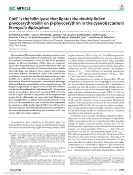 Cpef Is the Bilin Lyase That Ligates the Doubly Linked Phycoerythrobilin On