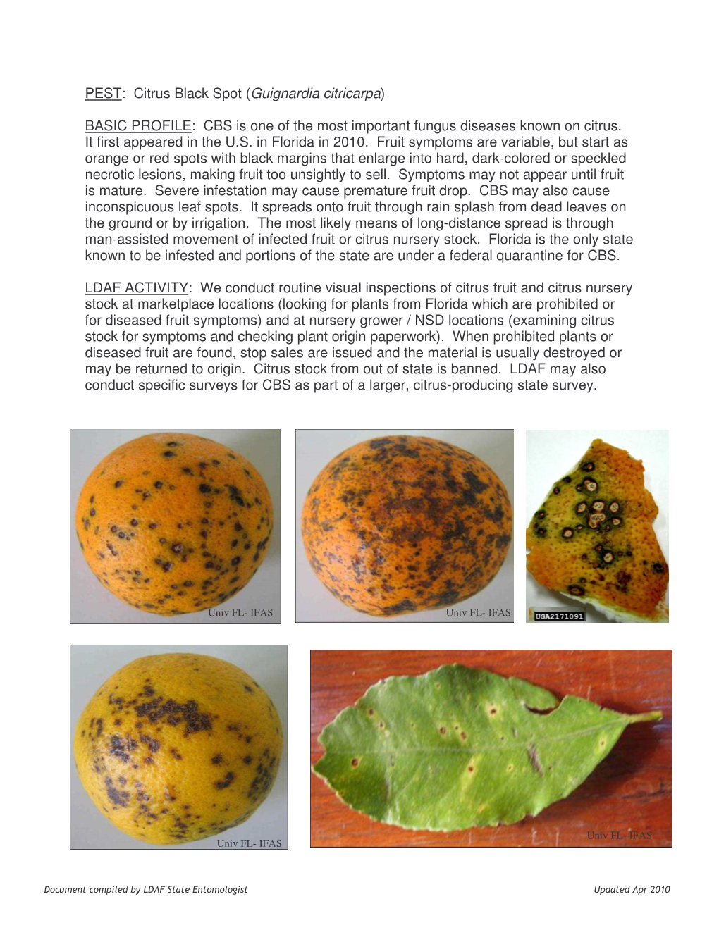 Citrus Black Spot Profile