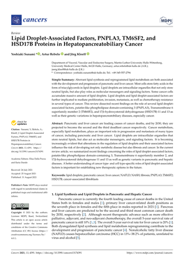 Lipid Droplet-Associated Factors, PNPLA3, TM6SF2, and HSD17B Proteins in Hepatopancreatobiliary Cancer