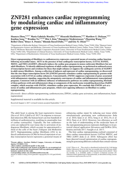 ZNF281 Enhances Cardiac Reprogramming by Modulating Cardiac and Inflammatory Gene Expression