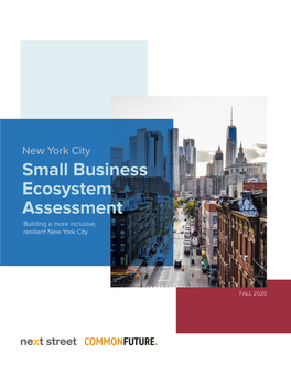 Small Business Ecosystem Assessment Building a More Inclusive, Resilient New York City