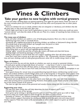 Vines & Climbers