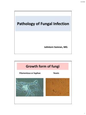 Pathology of Fungal Infection