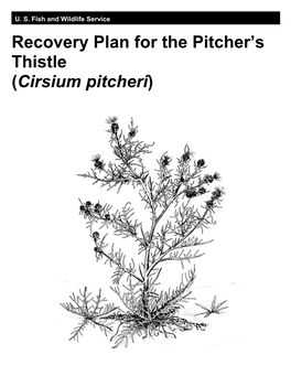 Pitcher's Thistle Recovery Plan