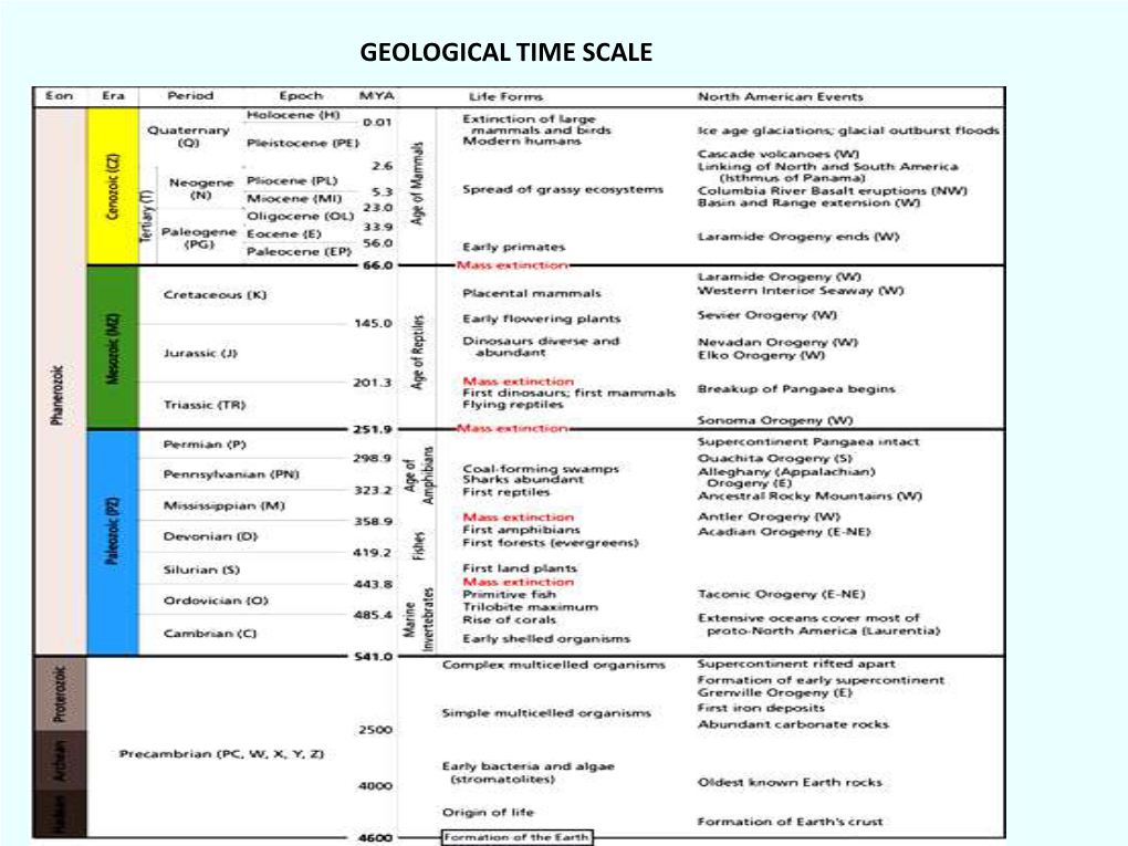 GEOLOGICAL TIME SCALE Fossilization - DocsLib