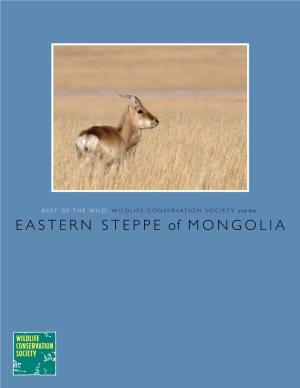 Eastern Steppe of Mongolia 2 BEST of the WILD: Wildlife Conservation Society and the Eastern Steppe of Mongolia
