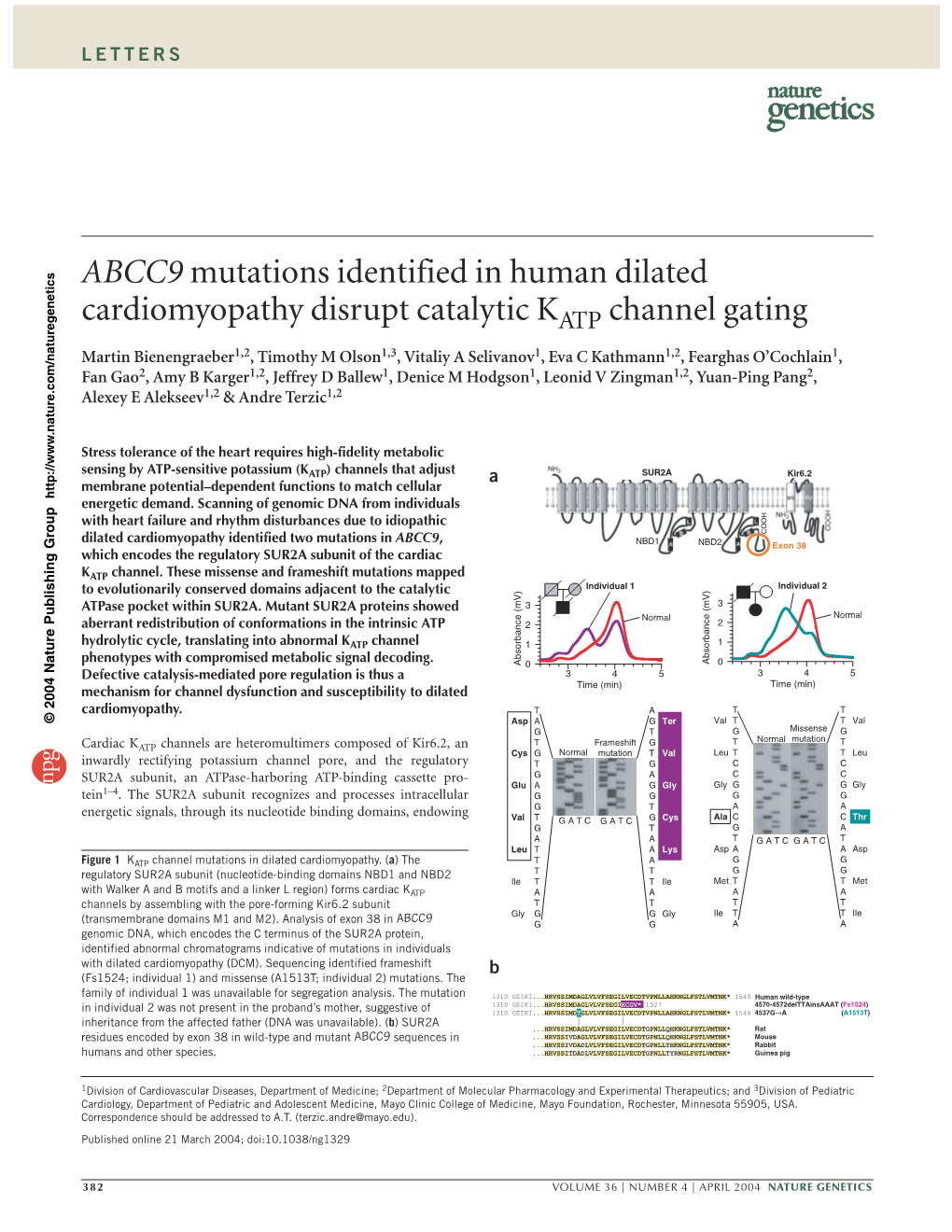 ABCC9 Mutations Identified in Human Dilated Cardiomyopathy Disrupt