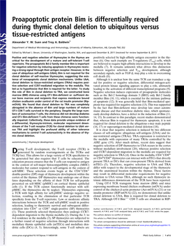 Proapoptotic Protein Bim Is Differentially Required During Thymic Clonal Deletion to Ubiquitous Versus Tissue-Restricted Antigens